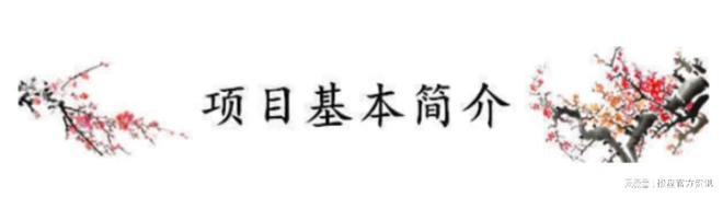 (售楼处)电线楼盘评测(图)详情开元棋牌app重庆南方公园美墅(图2)